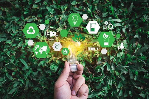 Sustainable Transformation in Audio Companies