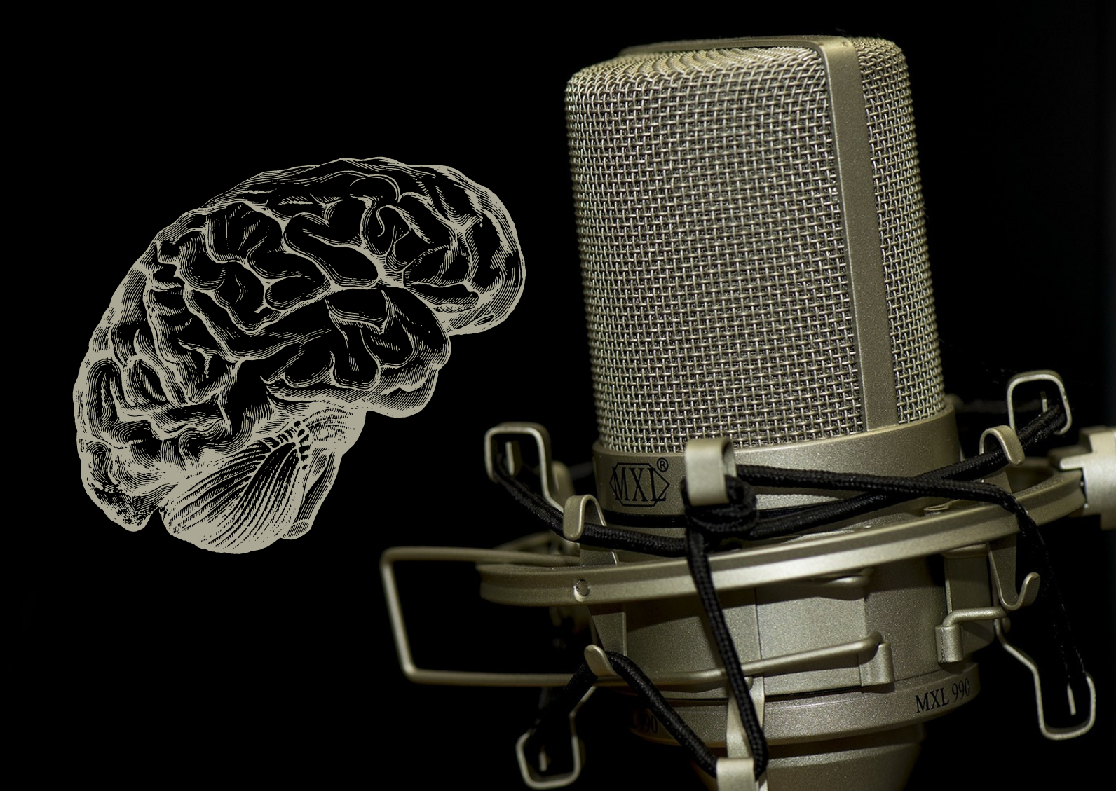 Intelligent Microphones