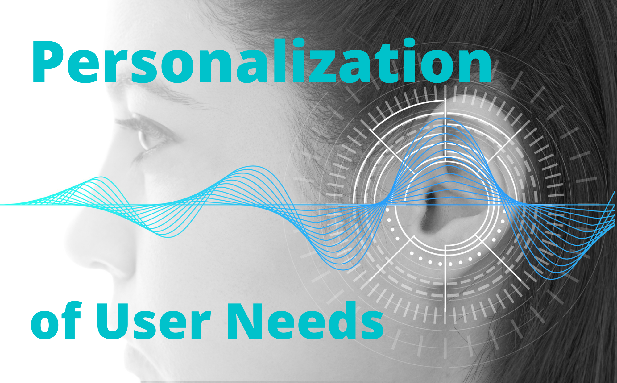 Personalization of User Needs